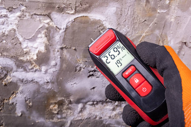 Best Crawl Space Mold Remediation in West Hazleton, PA