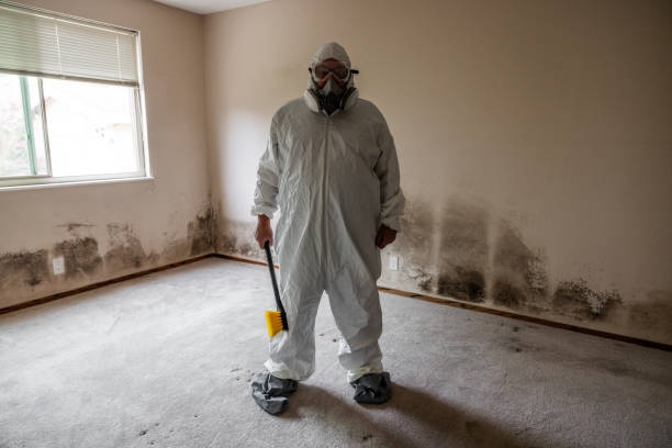 Best Industrial Mold Remediation in West Hazleton, PA